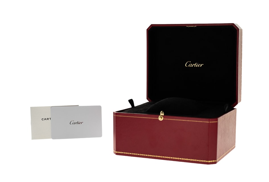 Cartier Santos Dumont WSSA0022 Image 4